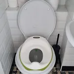 Vânători Nest - 2 - Pumo