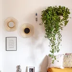 Vânători Nest - 2 - Pumo * Bucureşti