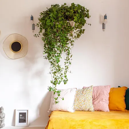 Apartment Vanatori Nest - 2 Room - Pumo Properties Bukarest